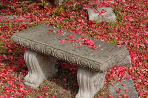 Bench in flowers